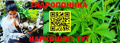 дмт Краснодар