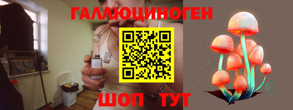 Галлюциногенные грибы Psilocybine cubensis  Вход с VPN  Кимовск 