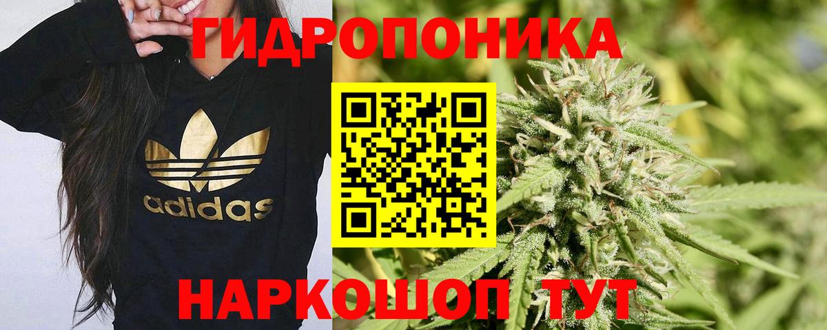Конопля марихуана  Марихуана планчик  Вход с VPN  Кимовск 